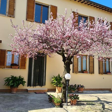 Cannara B&B Barbara Assisi المظهر الخارجي الصورة