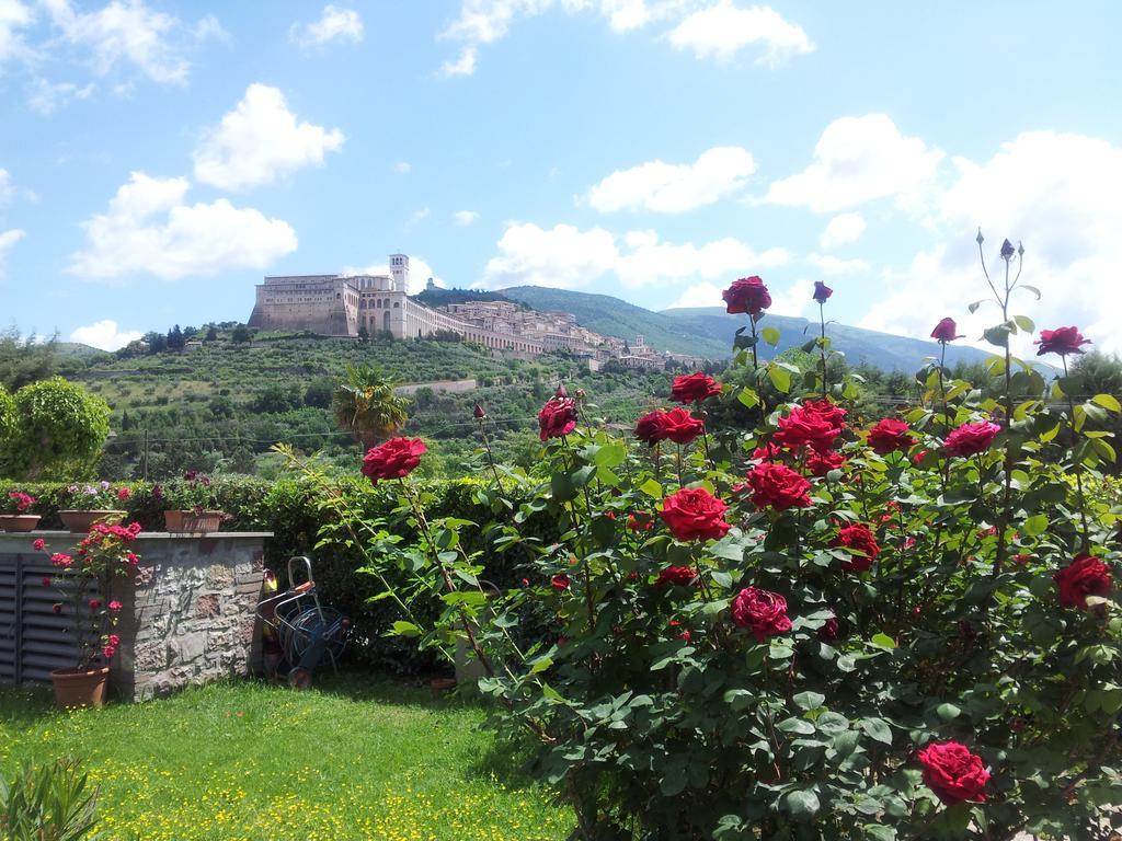 Cannara B&B Barbara Assisi الغرفة الصورة