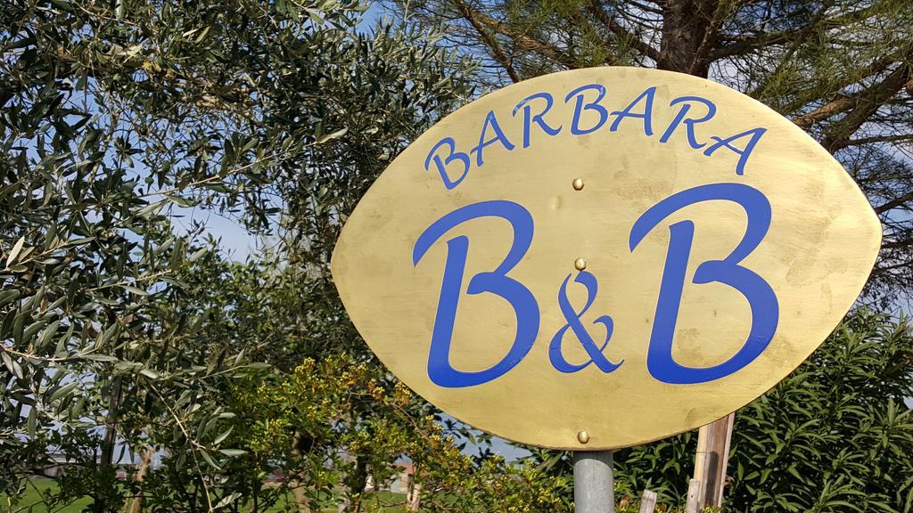 Cannara B&B Barbara Assisi المظهر الخارجي الصورة